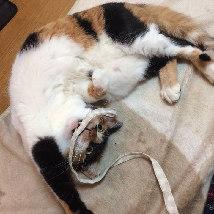 B7001062 d773 4e77 8f07 4f62470fe77d