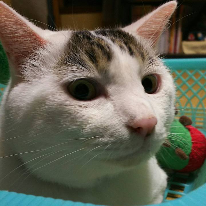 B7008303 bd05 4753 a48d 4258e92ba055