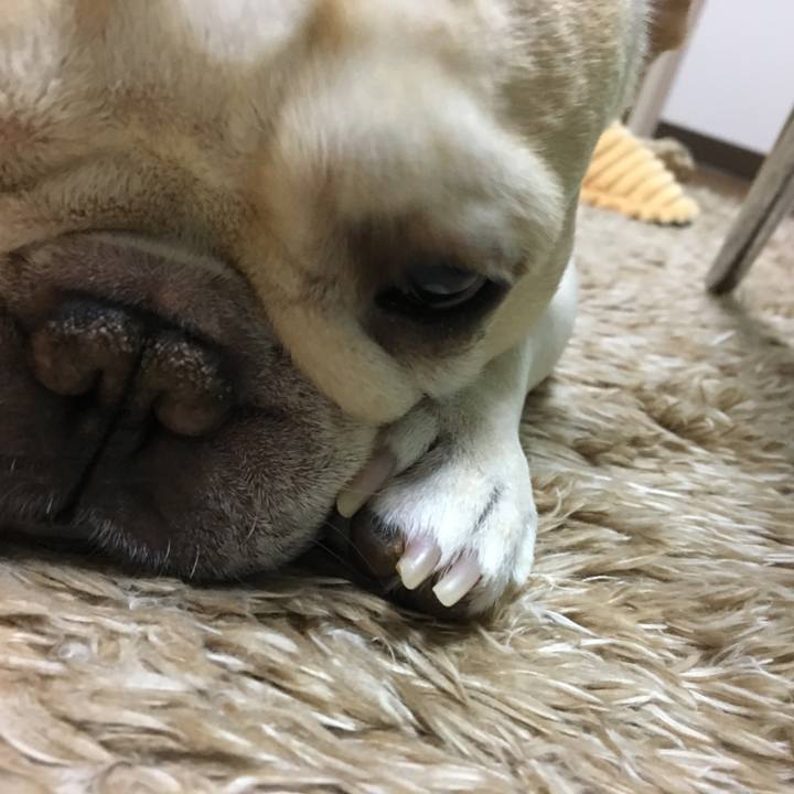 B7011223 5a99 49df af06 b6f6584e96c3