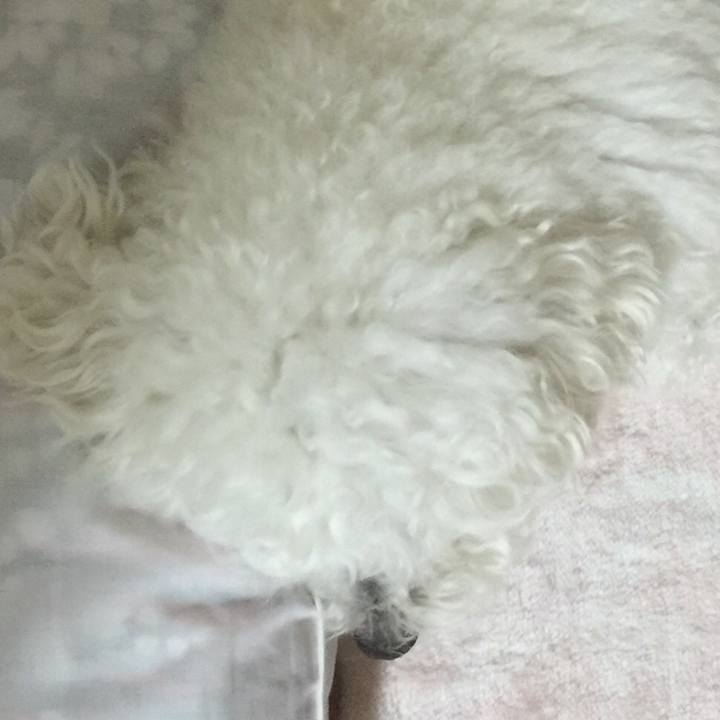 B701473a cd8d 4bbe a962 edc2f20645d1