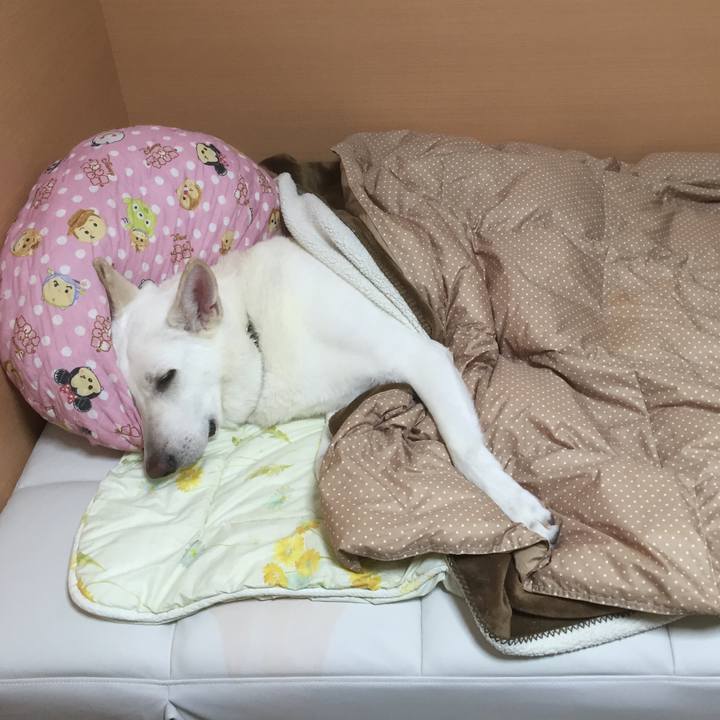 B7022614 c293 4b27 a223 4b460f55ad2a