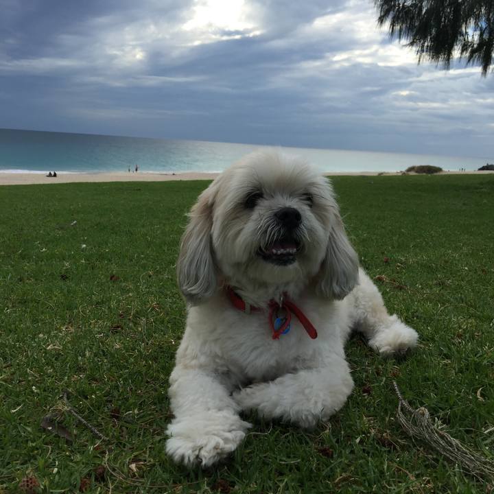 B702872f 551b 453a a9a6 4e36a361321b