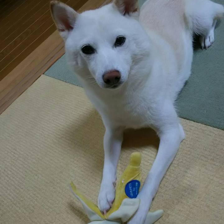 B702befd 2d25 40aa 83be 46af7d8b11c3