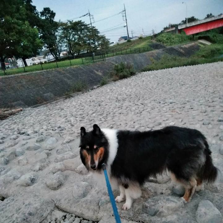 B702f200 22de 4f5c 9452 5edea118d38f