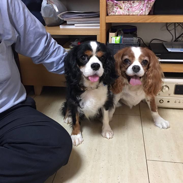 B702ff0c 2941 44c3 92ac cba1098a2401