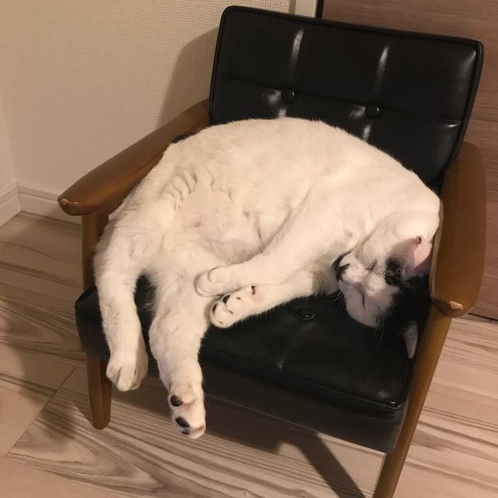 B7042d7e 8137 4147 871e 8d8c06020f47