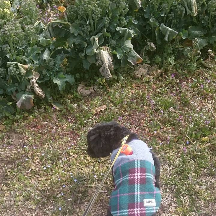 B704b5f9 40c9 4946 b256 87f1dce65d08