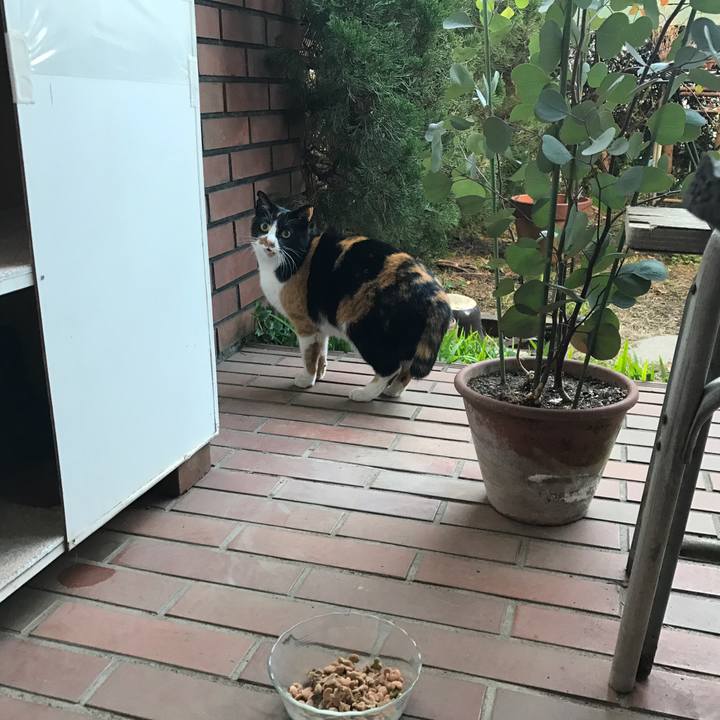 B704c6a8 3ea3 40ae bd2d d01912a12c4a