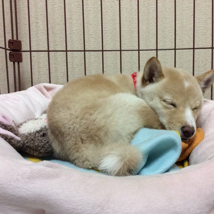 B704f853 cded 4c4f b88c 3c5da304ce08