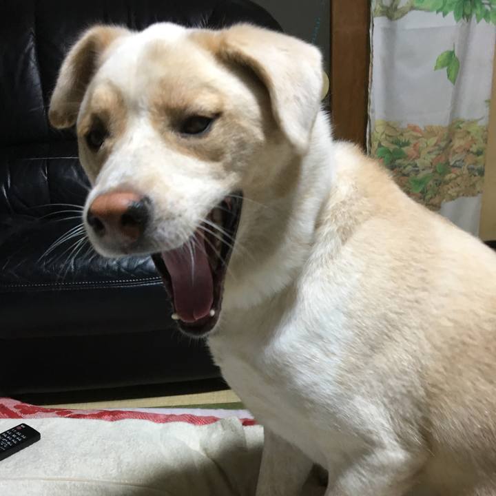 B7051438 89c7 4f83 9de2 f144cfcf956e