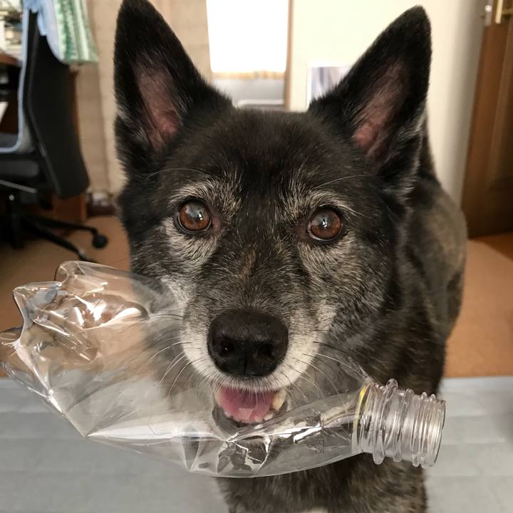 B7051b72 2da2 48b8 b57c 935b6c9f2a0d