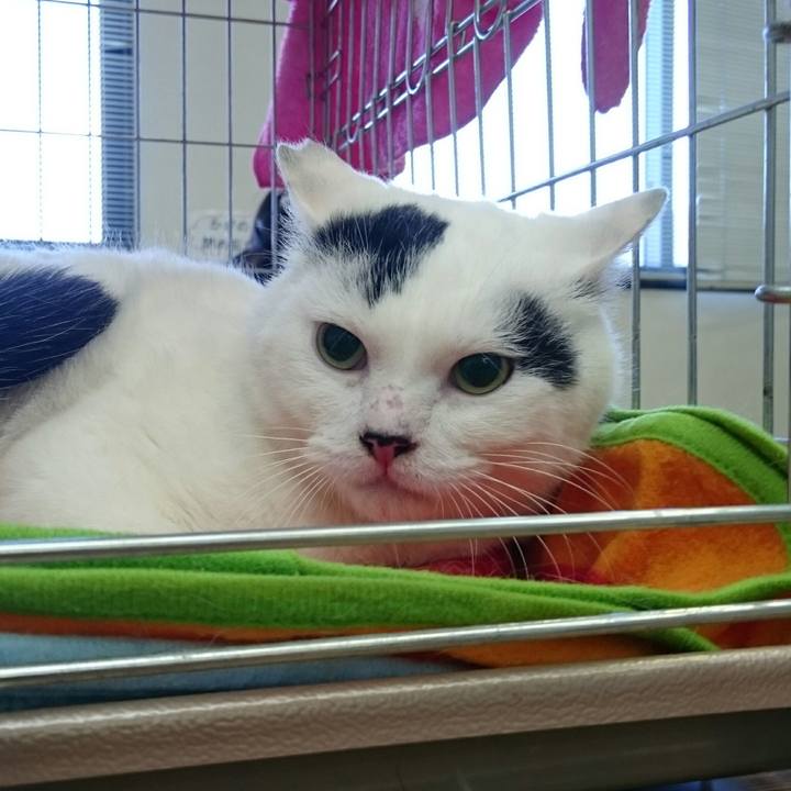 B7051e07 41a9 4c51 82d7 400955443ca7