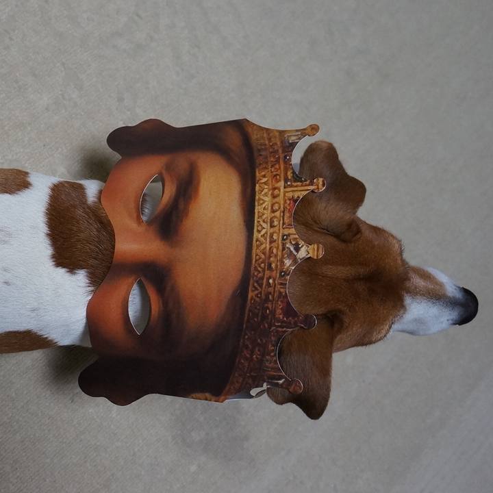 B705cda8 c9b8 40dc bac8 a13bc47979dc