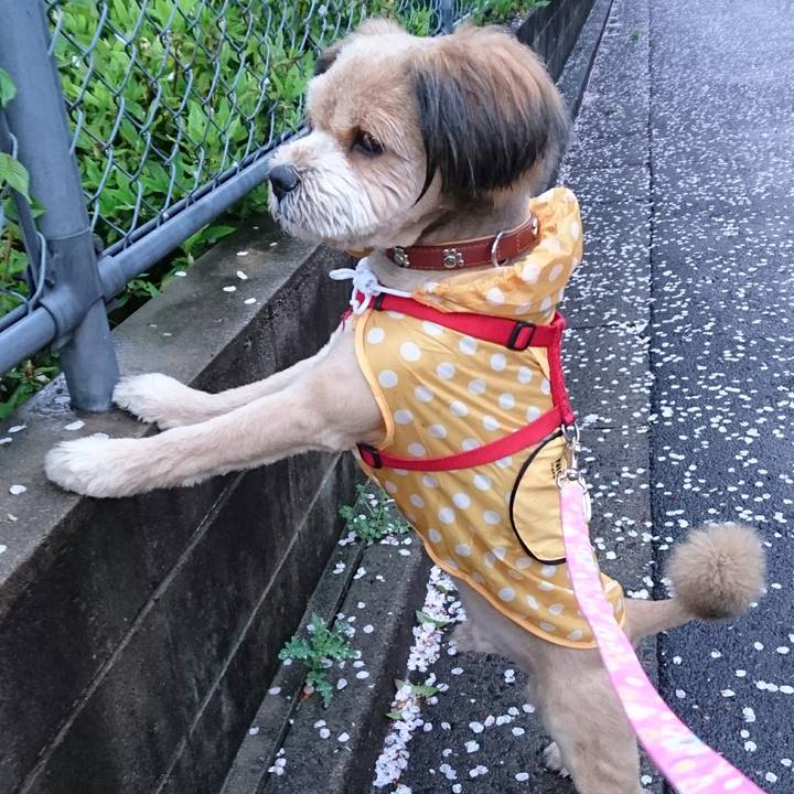 B7063cff a61f 4916 9e18 e335e8b2fbba