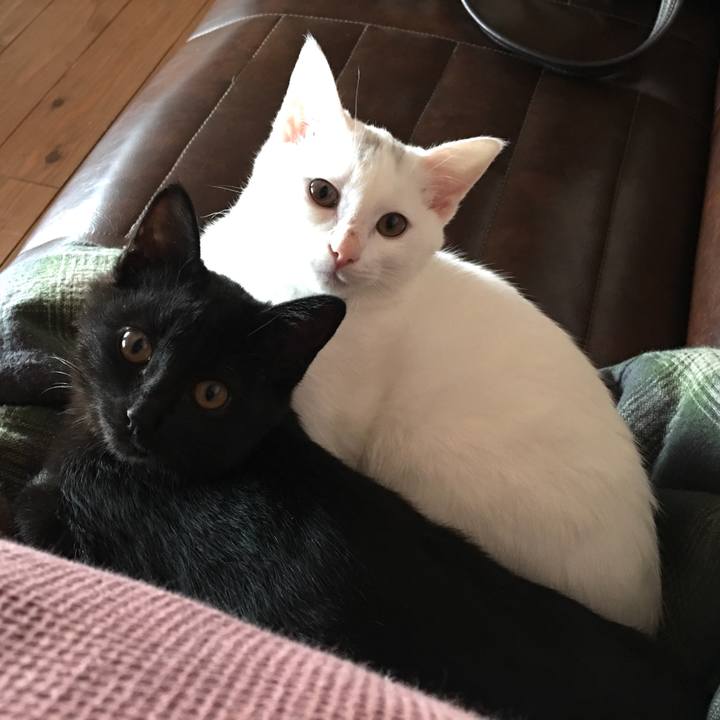 B706e824 7a4f 4046 8c3d 71c6f544df04