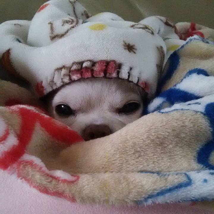 B70703b6 008f 471f a8f2 89bb4d08c801