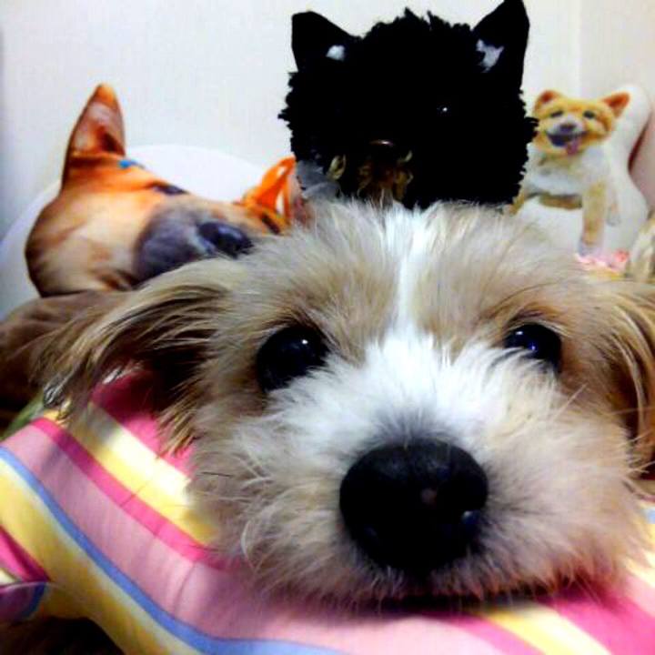 B7071c40 84b3 4ef7 86e1 4519f58d5a8b