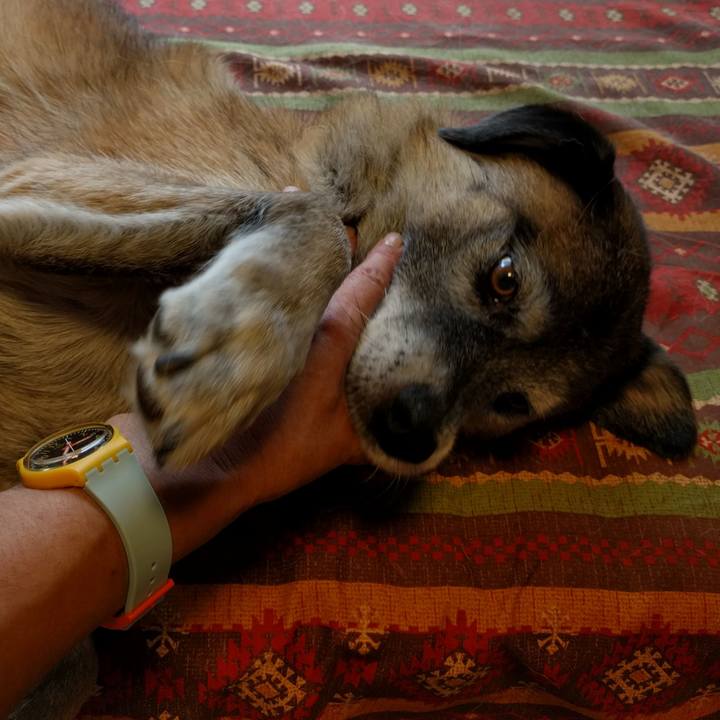 B7072848 1722 4cb4 b345 d9d907475843