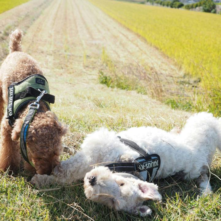 B707290f 56c9 4399 b4c4 a9459719a894