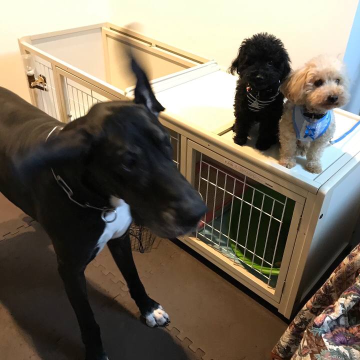 B7078fdd f6ff 47e1 8646 0b594ba1e300