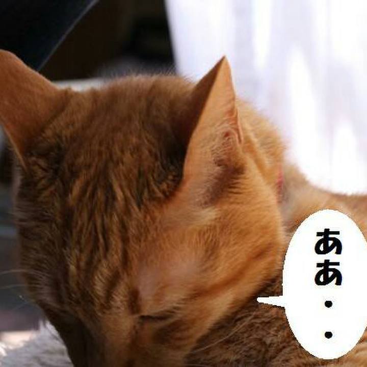 B7083916 d376 4a97 b026 a1b8d0a2c08e