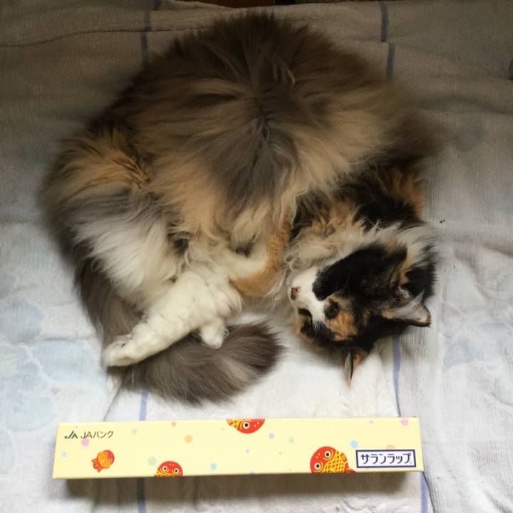 B708ad2d eac2 4b2b b095 7af9fcea2881