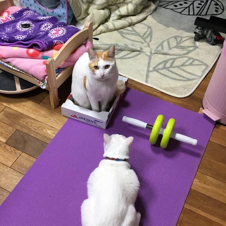 B708c46e da3b 4afb 8d2a 4899735c614a