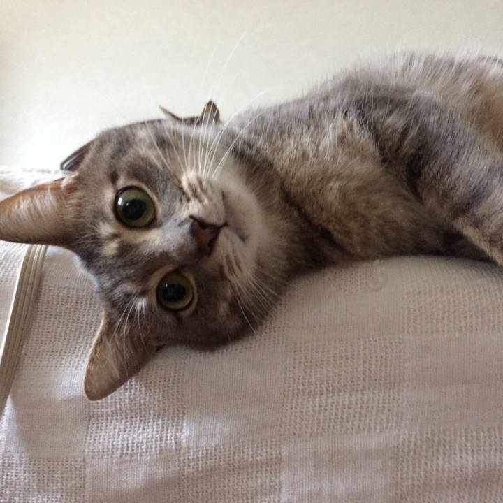 B708c4eb 4a47 472d 9689 4720afe2a03f