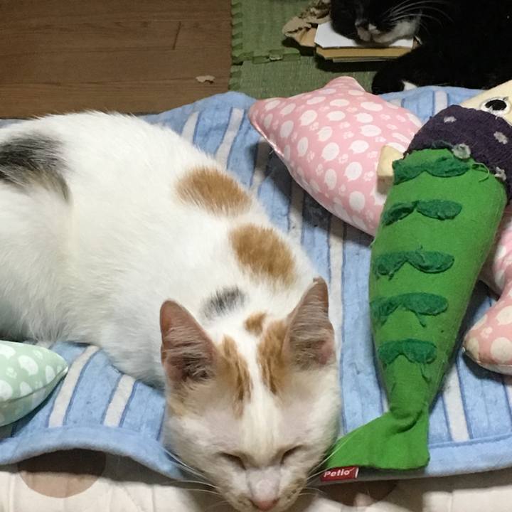 B708d42f c12b 42e8 a3e9 8927fda7aa2c