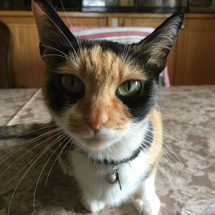 B708ee2f 99ca 4135 a615 a1d41e18b947