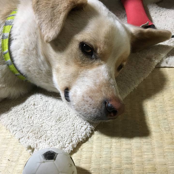 B7092a76 886e 40c6 8dc4 89cf74cf7685