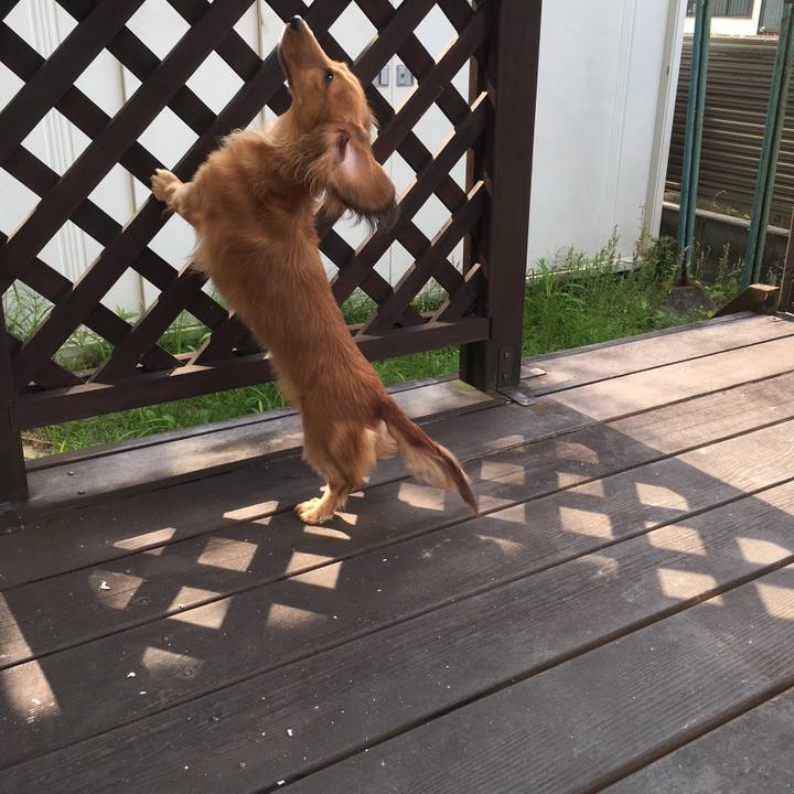 B709337d 280f 40d5 9b8e bab9e36a05b5