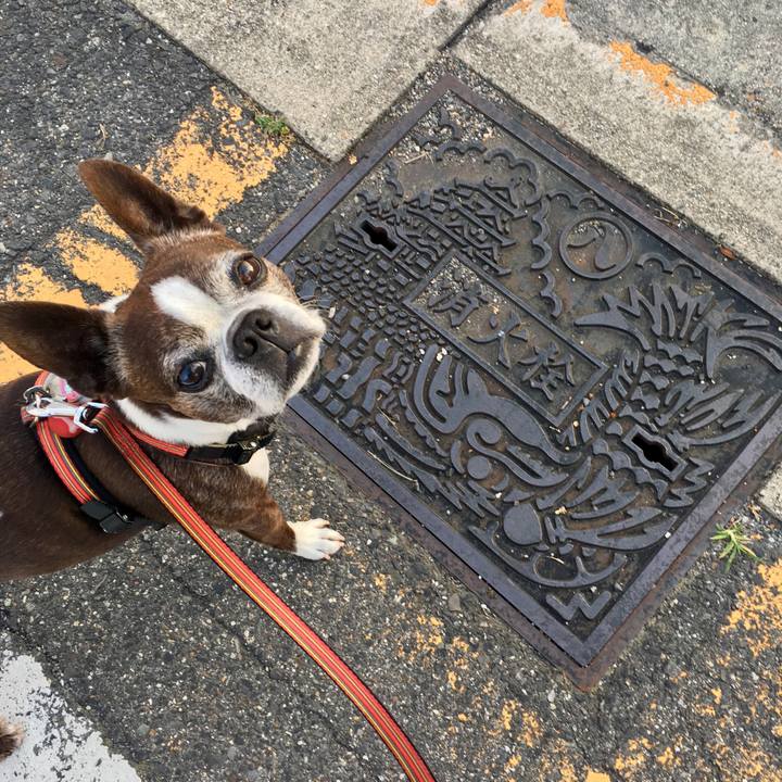 B7094f2a 9658 48dd a715 6122269fe23d