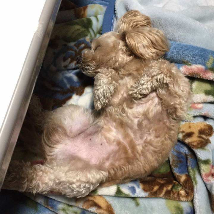 B709510e c883 4fb2 9457 d6731596b148