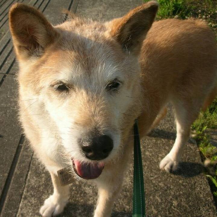 B7095472 af0e 45e0 8ea5 70d42168816d