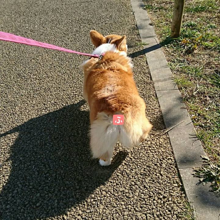 B709c4f8 5228 410c a71d 46a4d485b15a