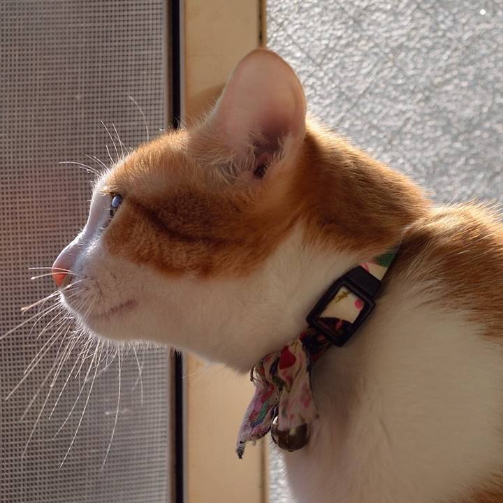 B709ee45 069e 4332 a696 8d9746c57b59