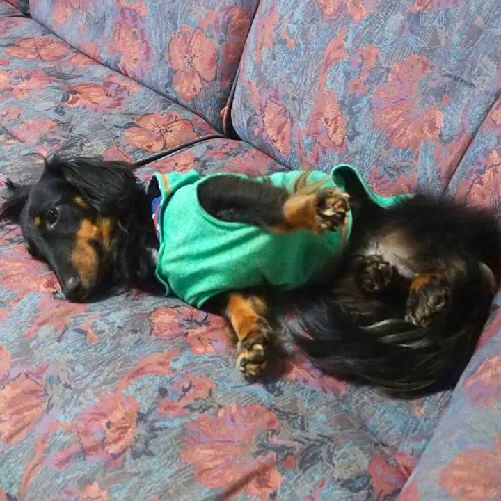 B70adfe2 87eb 48f2 86fb bf42b5c58954