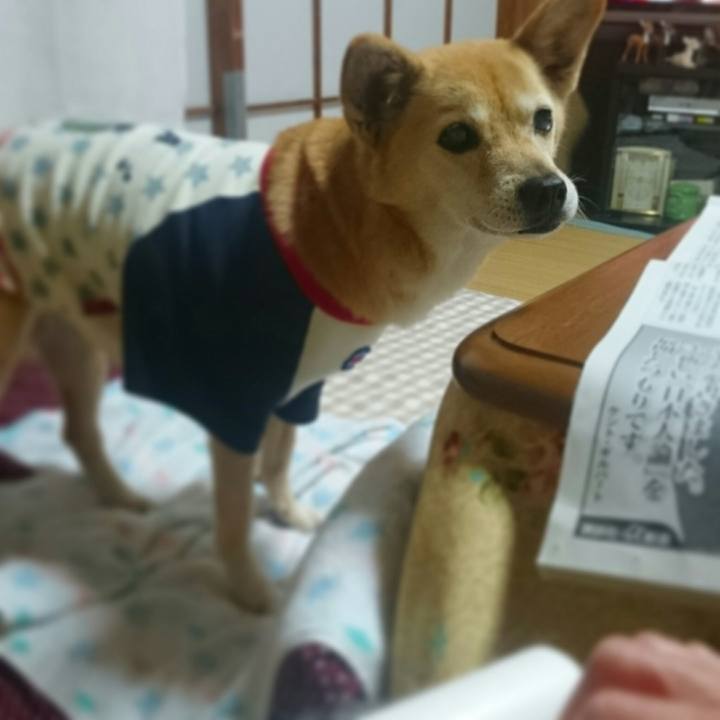 B70b9491 2d13 4594 89b5 7600824d0a72