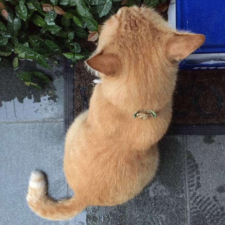 B70bf769 42bb 4104 9c72 4f41592ec9ea