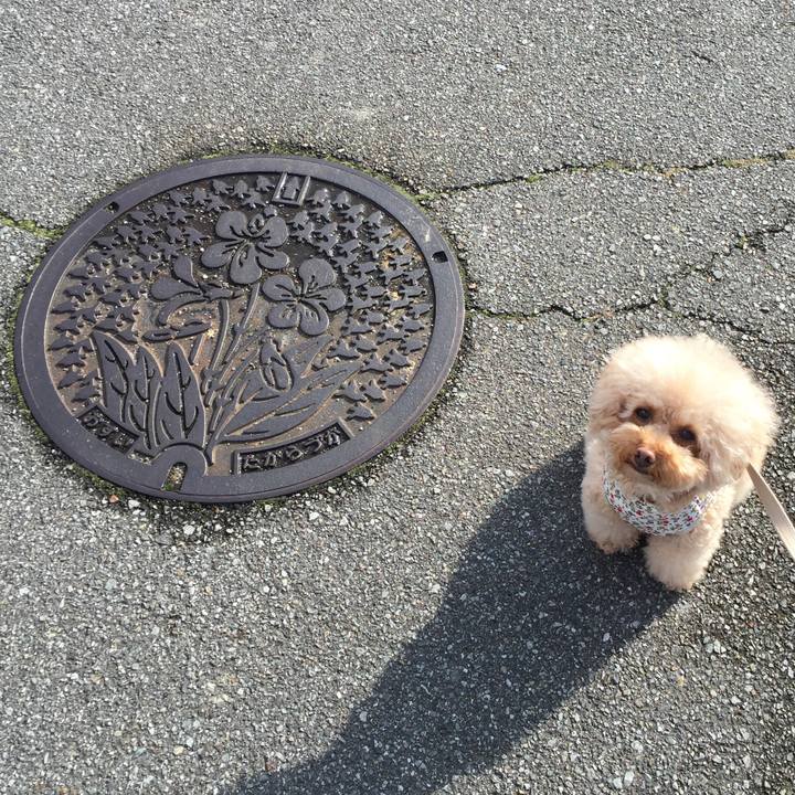 B70c8c86 6061 4cf9 9e18 4abe10650709