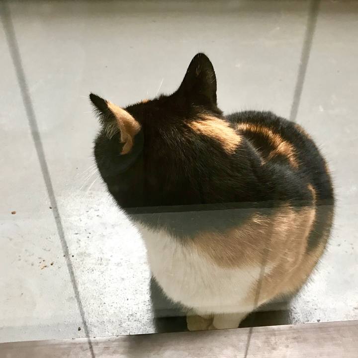 B70d1d69 4ff1 4025 941f 34e169aa14f9