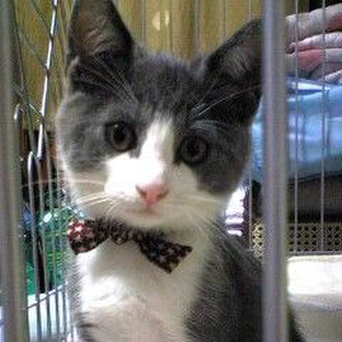 B70d226b d2e0 4410 98ce ba972dc07034