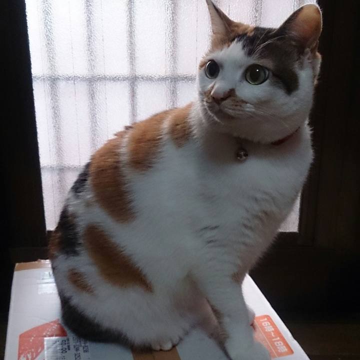 B70d24d5 bd4b 44cd 8f06 361986444b85