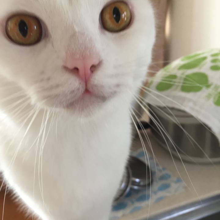 B70d27d7 bfd8 407b 9566 f4b394f21416