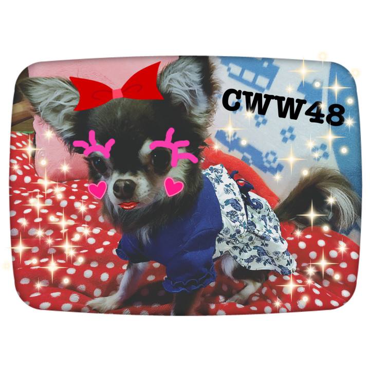 B70d8e8a 141f 459d bd9b 78d0a180af4e