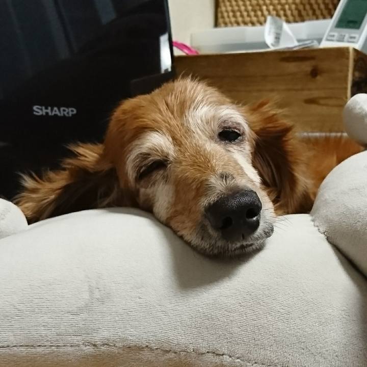 B70d948d d652 4771 9df0 69396e59ec6d