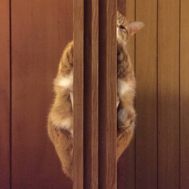 B70e2219 5297 4413 8387 2e18eb4e54dd