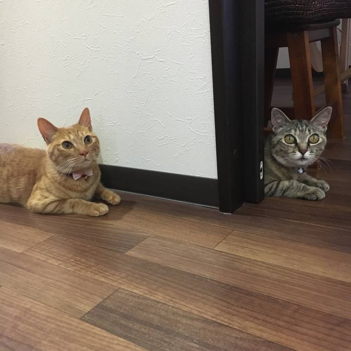 B70e57e6 603e 42b1 979f 3380aee8959c