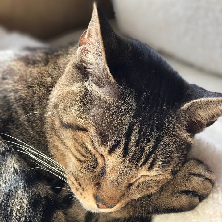 B70eaf9b 3f6d 4990 a9e8 4bcc40bd74da